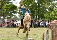 Foto de la galería: Domas y mucho chamamé: el domingo familiar se vivió en el Campo Nosiglia de Posadas