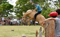 Foto de la galería: Domas y mucho chamamé: el domingo familiar se vivió en el Campo Nosiglia de Posadas