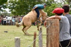 Foto de la galería: Domas y mucho chamamé: el domingo familiar se vivió en el Campo Nosiglia de Posadas
