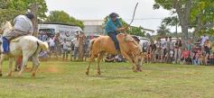 Foto de la galería: Domas y mucho chamamé: el domingo familiar se vivió en el Campo Nosiglia de Posadas