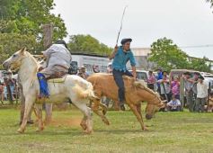 Foto de la galería: Domas y mucho chamamé: el domingo familiar se vivió en el Campo Nosiglia de Posadas