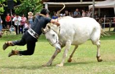 Foto de la galería: Domas y mucho chamamé: el domingo familiar se vivió en el Campo Nosiglia de Posadas