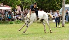 Foto de la galería: Domas y mucho chamamé: el domingo familiar se vivió en el Campo Nosiglia de Posadas