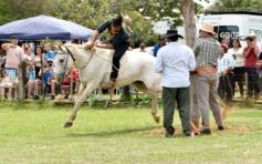 Foto de la galería: Domas y mucho chamamé: el domingo familiar se vivió en el Campo Nosiglia de Posadas
