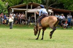 Foto de la galería: Domas y mucho chamamé: el domingo familiar se vivió en el Campo Nosiglia de Posadas