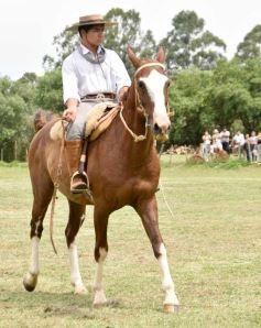 Foto de la galería: Domas y mucho chamamé: el domingo familiar se vivió en el Campo Nosiglia de Posadas