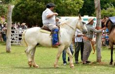 Foto de la galería: Domas y mucho chamamé: el domingo familiar se vivió en el Campo Nosiglia de Posadas