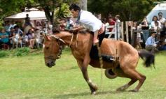 Foto de la galería: Domas y mucho chamamé: el domingo familiar se vivió en el Campo Nosiglia de Posadas