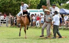 Foto de la galería: Domas y mucho chamamé: el domingo familiar se vivió en el Campo Nosiglia de Posadas