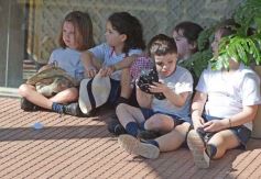Foto de la galería: Entre juegos y helados los alumnos del Nivel inicial del I.C.E. disfrutaron su cierre de año escolar