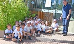 Foto de la galería: Entre juegos y helados los alumnos del Nivel inicial del I.C.E. disfrutaron su cierre de año escolar