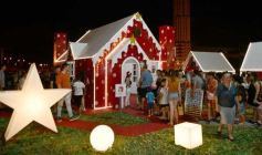 Foto de la galería: Abrió el Parque de las Fiestas y se encendió la Navidad en Posadas