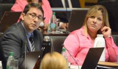 Foto de la galería: A través del apoyo de todos los bloques, Rovira seguirá al frente de la Legislatura el próximo año