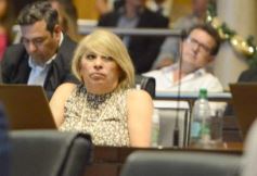 Foto de la galería: Sesión especial: 2da parte de lo que dejó la elección de autoridades en la Legislatura