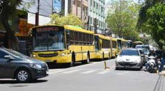 Foto de la galería: Diciembre festivo: el último tramo del año se disfruta con un gran ambiente en Posadas