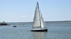 Foto de la galería: Al grito de Campeón: la fiesta popular se adueñó de Posadas en la consagración de la Albiceleste