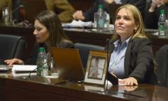 Sixto Fotografías. Sociedad. Cámara de Diputados - Legislatura: Con fuerza de ley aprobaron la atención integral del síndrome de down en Misiones