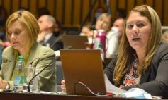 Sixto Fotografías. Sociedad. Cámara de Diputados - Por ley impulsarán la protección y multiplicación de la población de abejas en la tierra colorada