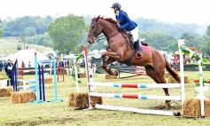 Sixto Fotografías. Sociedad. Sociedad Rural Misiones - Remate en San José: más postales del encuentro y Torneo Hípico en el campo La Armonía