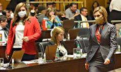 Sixto Fotografías. Sociedad. Cámara de Diputados - Diputados en sesión: aprobaron la ley de fibromialgia y patologías asociadas en Misiones