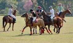 Sixto Fotografías. Deportes. Club Hípico Ejercito Argentino - El Polo encabezó un gran fin de semana hípico y familiar en Posadas