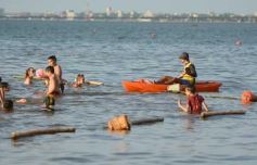 Foto de la galería: Domingo en Costa Sur: agua de rio a pleno y mucha recreación para posadeños y visitantes