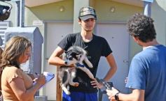 Foto de la galería: Enero activo: llega fin de mes entre trabajo, recorridas y mucha gente copada en la ciudad capital