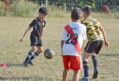 Foto de la galería: Escuela de Fútbol Infantil del Club Tacurú: nuevo semillero para el talento posadeño