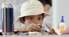 Foto de la galería: Robótica de Verano: los más chicos aprenden jugando en la Colonia del Polo Tic de Posadas