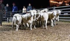 Foto de la galería: Con el aire campero de La Armonia, se realizó el 1er Remate Nocturno del año