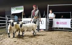 Foto de la galería: Con el aire campero de La Armonia, se realizó el 1er Remate Nocturno del año
