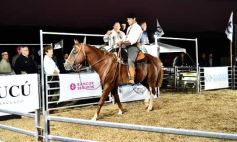 Foto de la galería: Con el aire campero de La Armonia, se realizó el 1er Remate Nocturno del año