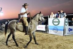Foto de la galería: Con el aire campero de La Armonia, se realizó el 1er Remate Nocturno del año