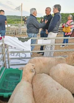 Foto de la galería: Con el aire campero de La Armonia, se realizó el 1er Remate Nocturno del año
