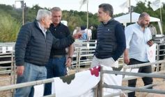 Foto de la galería: Con el aire campero de La Armonia, se realizó el 1er Remate Nocturno del año