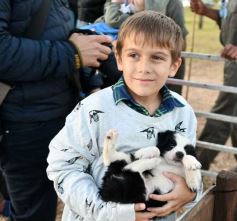Foto de la galería: Con el aire campero de La Armonia, se realizó el 1er Remate Nocturno del año