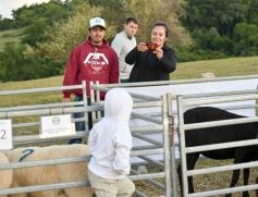 Foto de la galería: Con el aire campero de La Armonia, se realizó el 1er Remate Nocturno del año