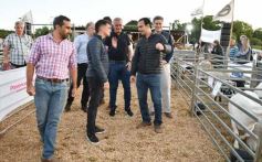 Foto de la galería: Con el aire campero de La Armonia, se realizó el 1er Remate Nocturno del año