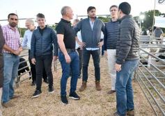 Foto de la galería: Con el aire campero de La Armonia, se realizó el 1er Remate Nocturno del año