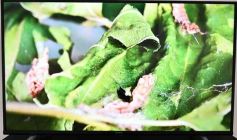 Foto de la galería: ADN edición 2023: junto a la seda, el arte y diseño de mujeres creadoras se exponen en el Centro de Arte de Posadas