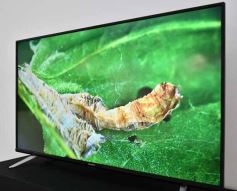 Foto de la galería: ADN edición 2023: junto a la seda, el arte y diseño de mujeres creadoras se exponen en el Centro de Arte de Posadas