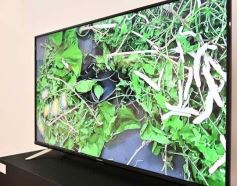 Foto de la galería: ADN edición 2023: junto a la seda, el arte y diseño de mujeres creadoras se exponen en el Centro de Arte de Posadas