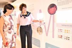 Foto de la galería: ADN edición 2023: junto a la seda, el arte y diseño de mujeres creadoras se exponen en el Centro de Arte de Posadas