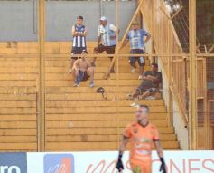 Foto de la galería: Federal A: con empate en casa, Crucero logró un arranque positivo para la temporada