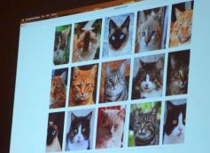 Foto de la galería: Inteligencia artificial, la palabra del año: lo que dejó la visita de Alejandro Piscitelli en Posadas