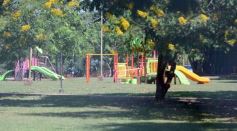 Foto de la galería: Comicios del 7 de mayo: con equipo completo, Lalo Stelatto va por la reelección en Posadas