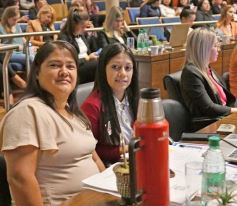 Foto de la galería: Parlamento de la Mujer 2023: las misioneras votaron y marcaron la agenda en el recinto 