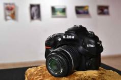 Foto de la galería: 40 años, 40 obras: la fotógrafa Malena Oudín presentó una especial muestra en el Juan Yaparí