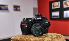 Foto de la galería: 40 años, 40 obras: la fotógrafa Malena Oudín presentó una especial muestra en el Juan Yaparí