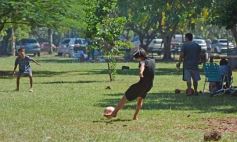 Foto de la galería: Parque de la Ciudad: para el disfrute al aire libre y salida familiar en Posadas